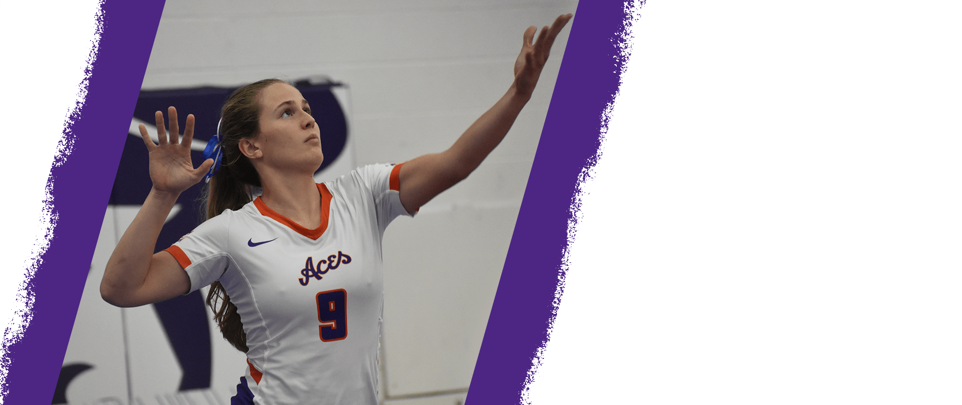 University of Evansville Volleyball Camps Evansville, IN